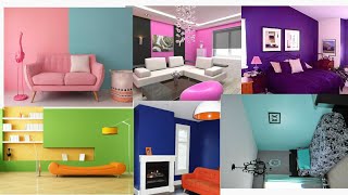 Latest Colour Combinations| interior wall colour ideas