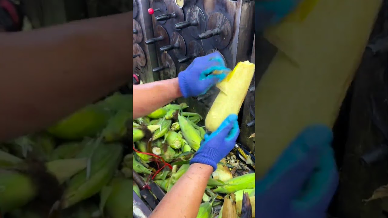 The Perfect Way to Cook Corn – With Husk in a Steam Oven