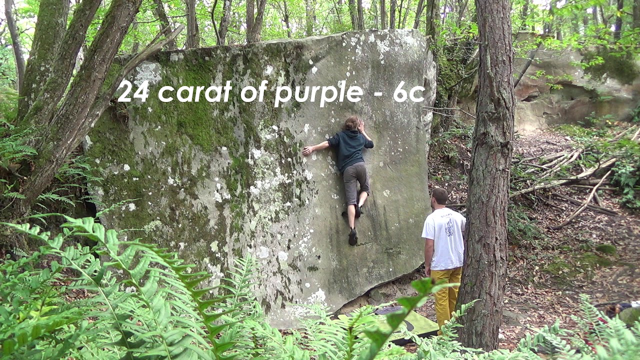 Some 6 in Fontainebleau