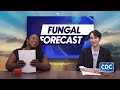 Fungal Forecasting Video