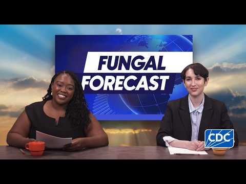 Fungal Forecasting Video