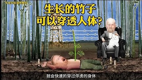 生长的竹子可以穿透人体？还是二战时期的酷刑？