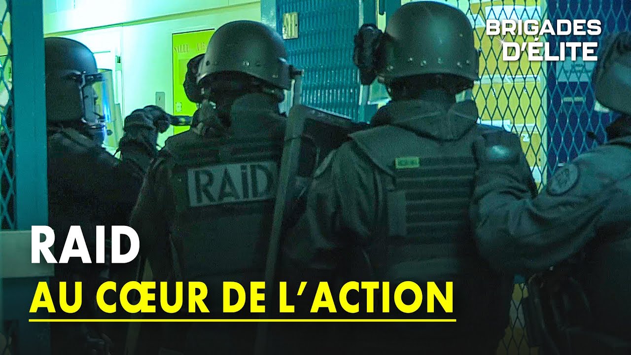 RAID  immersion avec lunit dlite de la police nationale   Brigades dlite