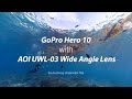 Gopro hero 10 with aoi uwl03 wide angle conversion lens