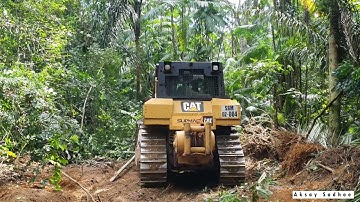 Dozer CAT D6T XL bush clearing