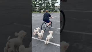 Katie on an AI bike ride