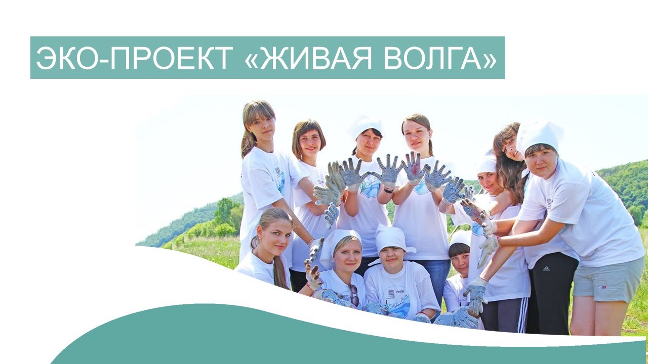 Эко волга групп