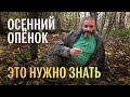 Для новичков: осенний опенок