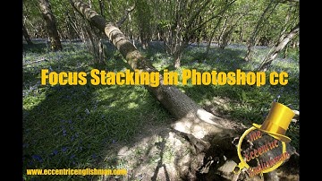How to do Focus Stacking in Photoshop CC