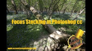 How to do Focus Stacking in Photoshop CC