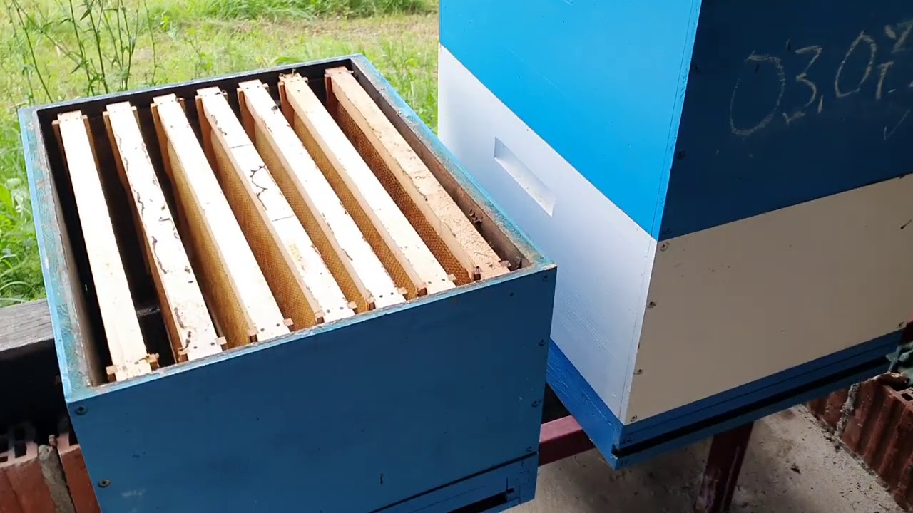 ČUVANJE IZGRAĐENOG SAĆA.