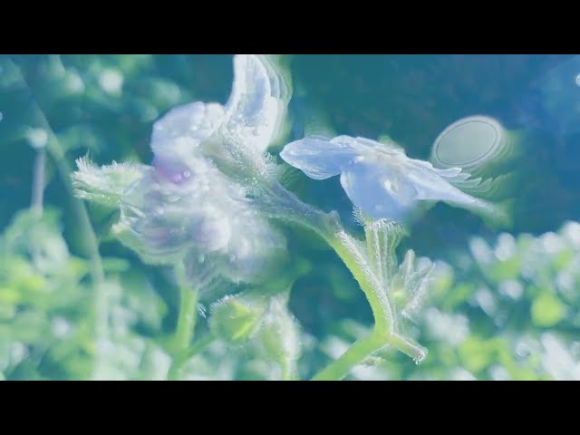 Soccer Mommy - newdemo