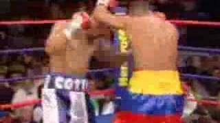 The Boxing Review 2005