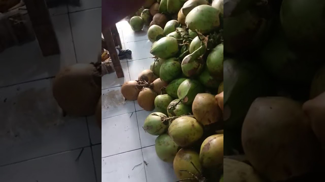 Kelapa ijo 
