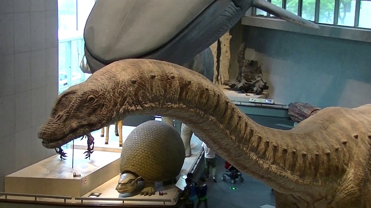 動く恐竜 模型 アルゼンチノサウルス Robotic Argentinosaurus Youtube