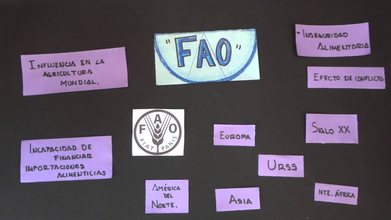 Organizaciones creadas después de la segunda guerra mundial - YouTube