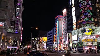 Walking in Naka - Nishiki in Nagoya at night [4K HDR]