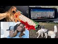VLOGMAS-2- ( Nouvel appareil photo, boulot , couple...)