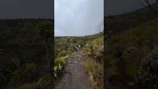 Hiking Kilimanjaro Tanzaniafull On Related Video Below