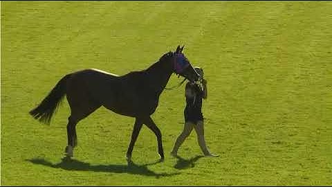 R6 - GERALDTON - AUSTRALIË | 26 NOV