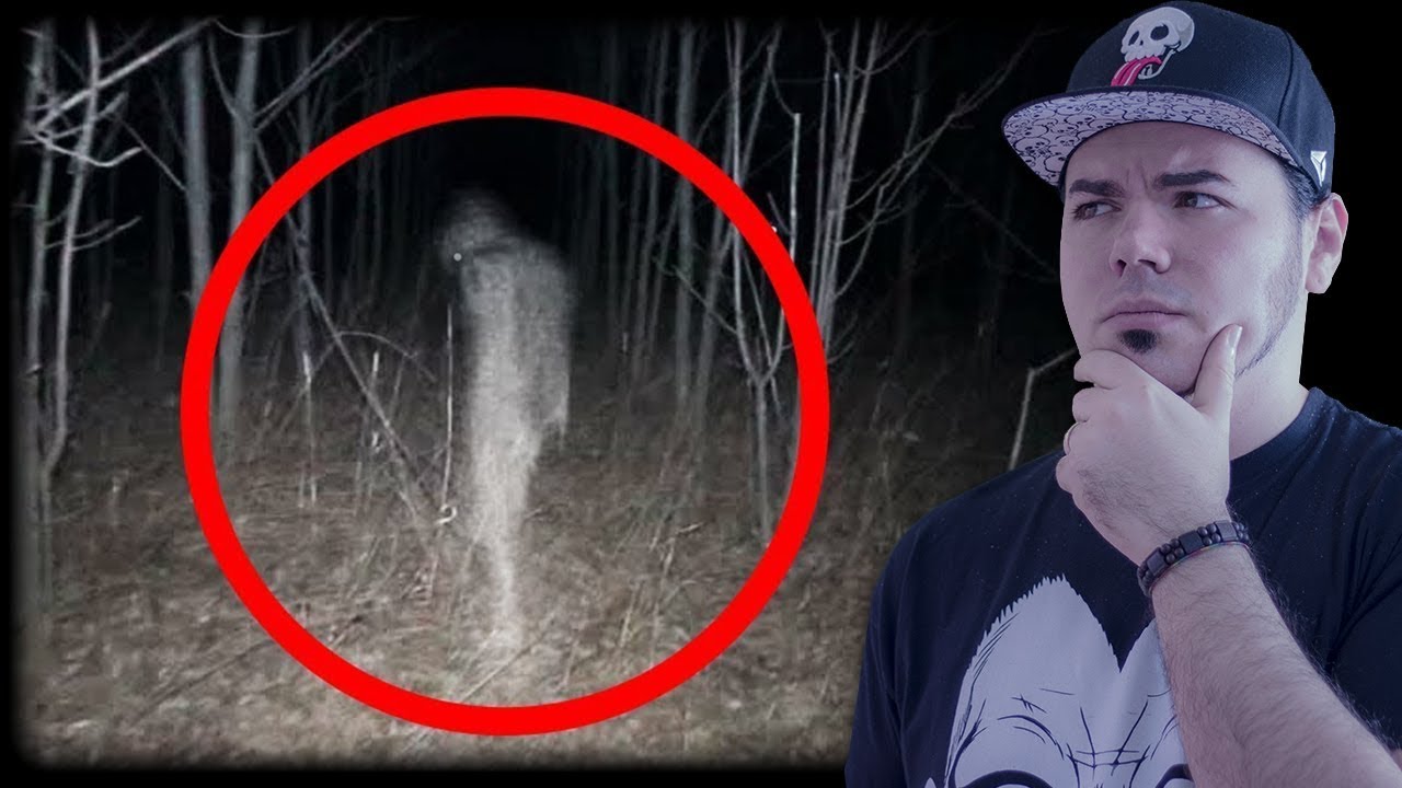 Cosa si Nasconde nelle Foreste ? 🤔 Cose Paranormali Riprese in Videocamere, image size:1280x720