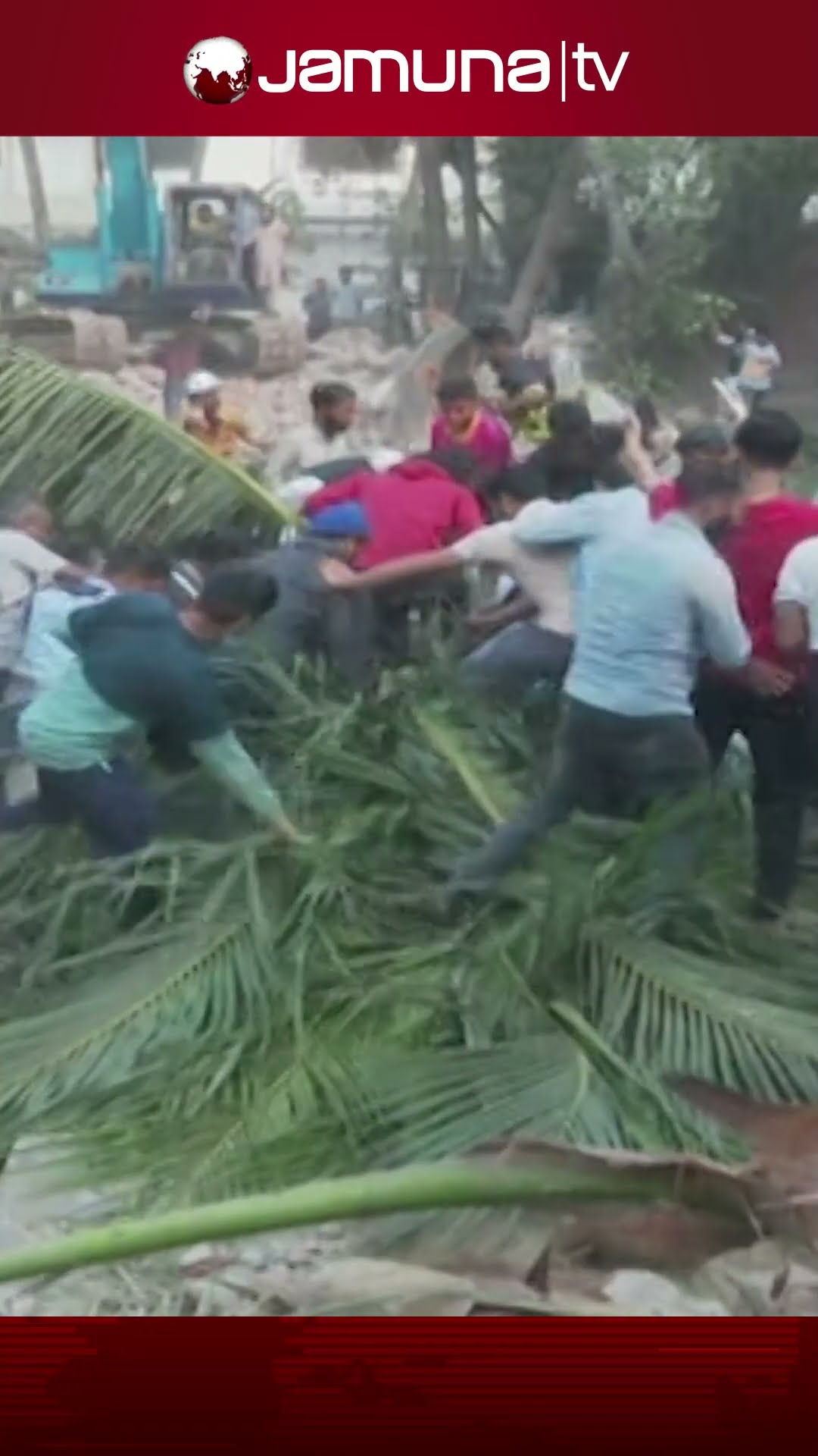 ধানমন্ডির ৩২'র বাড়িতে নারিকেল কুড়াতে হুড়োহুড়ি #dhanmondi32 #jamunatv #sheikhmujib #jamunanews