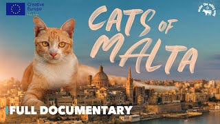 Cats of Malta | 🐈 Cats | Full Documentary