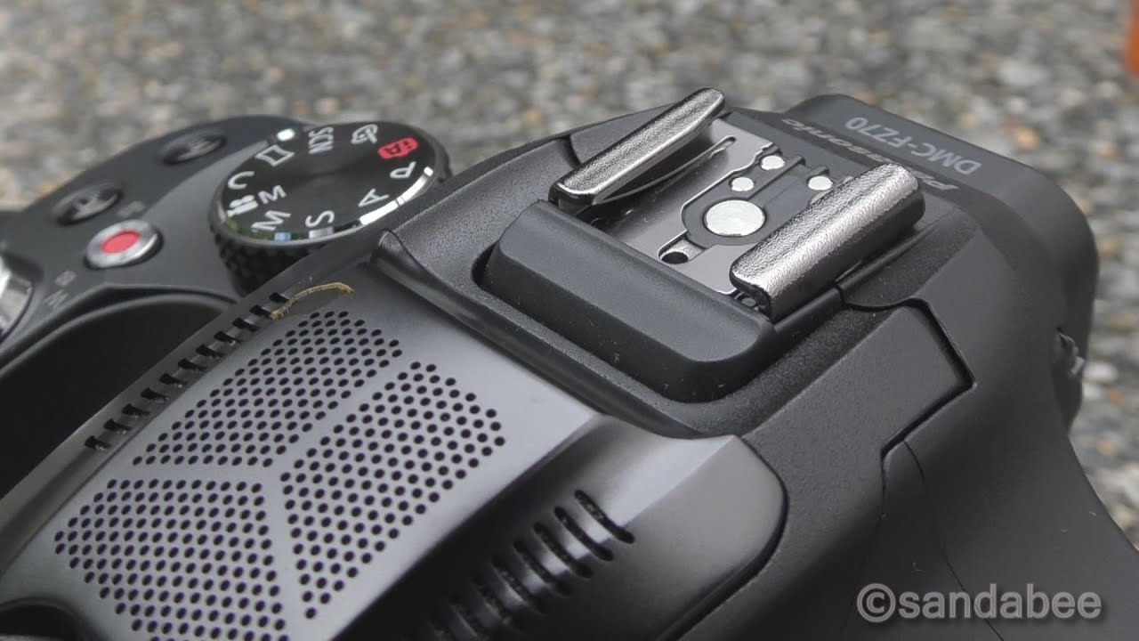 超絶腹筋 でアニメみたいに逃げ回る尺取り虫 Inchworm Run About Trying To Escape Youtube