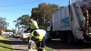 Información Riverview Bulk Waste Part 2 Noticias