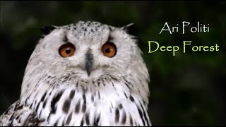 Deep Forest (Instrumental)