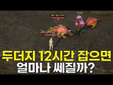 아이온2 두더지 12시간 잡으면 얼마나 쎄질까요?