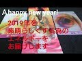 2019年を素晴らしくする為のエネルギーをお届けします！(新年～立春2/4効果が出やすいエネルギー)