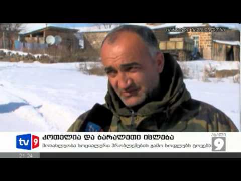 ახალი 9 | დაცლილი სოფლები | 20.01.13