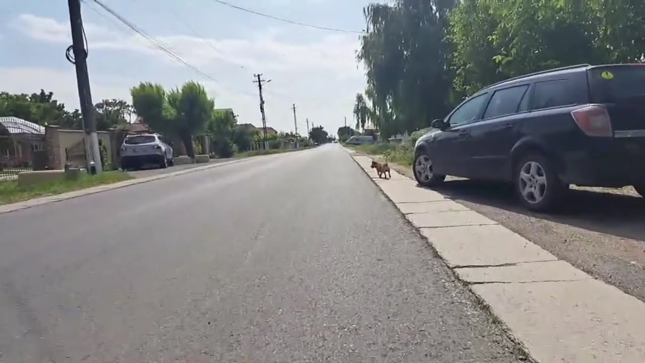 Kazii Official este live!