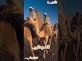 ولاية جنوب دارفور السودان أغرب خمس معلومات عن ولاية جنوب دارفور