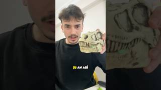 KÖPÜREN DİNAZOR KAFASI AÇTIM!