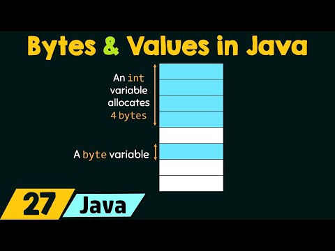 Bytes and Values in Java