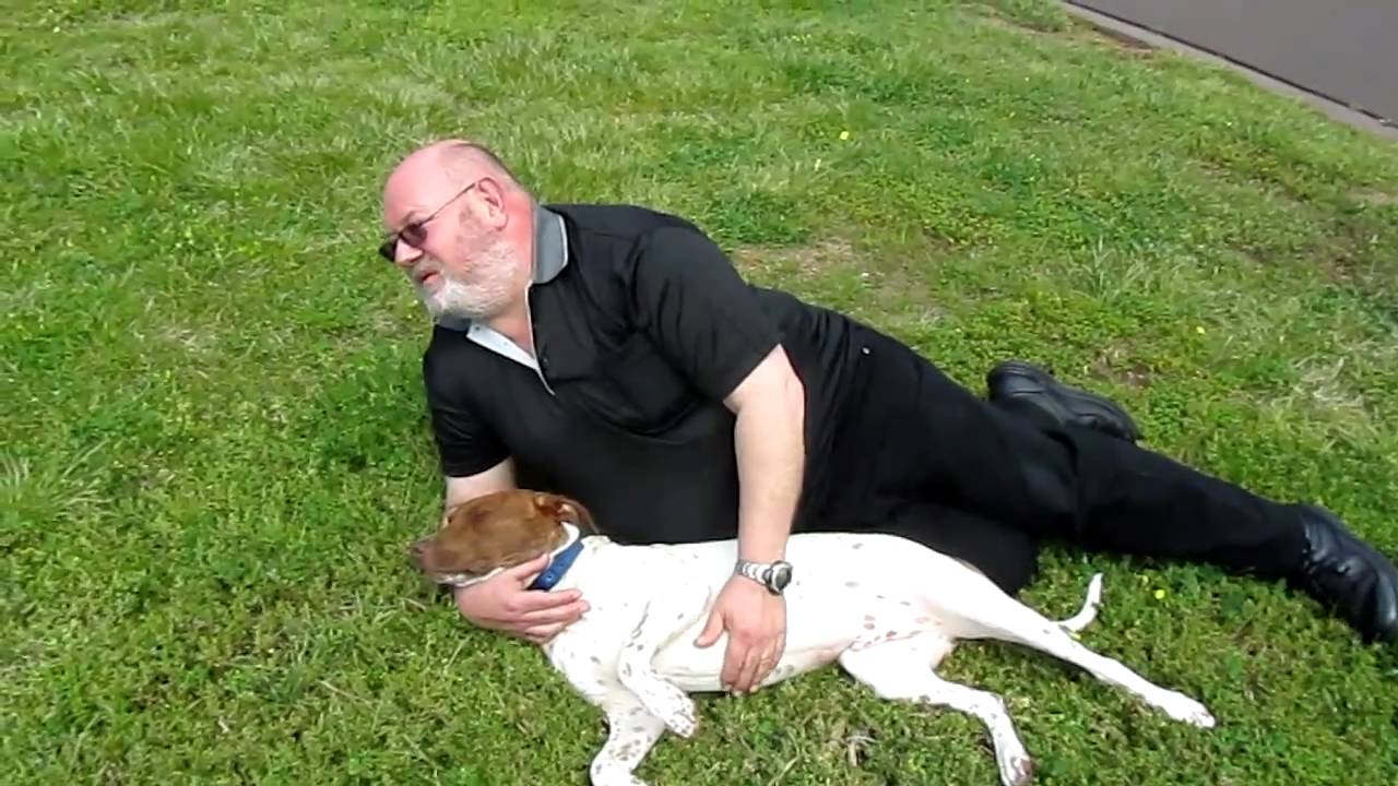 dog whisperer YouTube