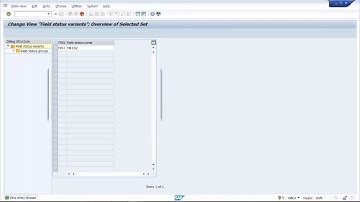 SAP FICO Support Project -  Basic Setting 2  - Call @ +91 7416797921 for more details