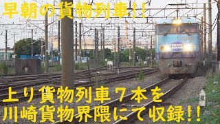 2019/08/08 [貨物列車][定点観測] 早朝の貨物列車!! 上り貨物列車７本を川崎貨物界隈にて収録!!