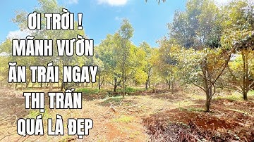 VỠ NỢ THẬT RỒI KHÔNG CÒN KHẢ NĂNG TRẢ NỢ NÊN BÁN MÃNH ĐẤT VƯỜN TÂM HUYẾT