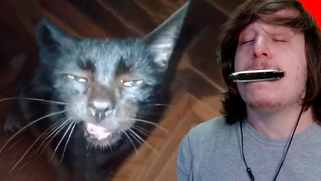 Tente não Rir especial Gaita de Coca  com os Melhores Memes #3