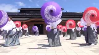 Japanese Umbrella Dance Slow 75%