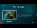 What is Carding: Carding Tutorial for Beginners