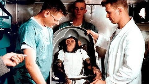 [Colorized, 1K, 60 fps] Chimp Into Space, 1961