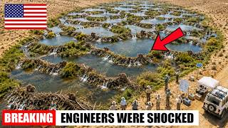 They Released Beavers Into a Dead Land — What Happened Next Stunned Scientists