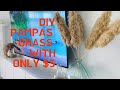 DIY Pampas Grass With Only $5