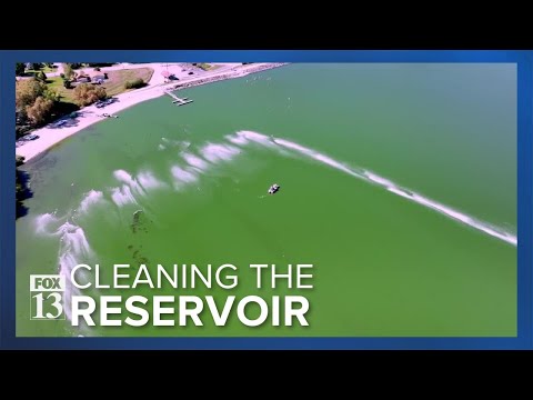 Company finds way to remove harmful algal blooms from Utah reservoir