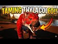 I Tamed a THYLACOLEO 😱🔥 | ARK Scorched Earth EP 6