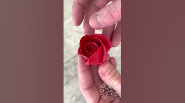 Thumbnail of The Eternal Rose! 🌹 Very romantic Raspberry&Chocolate dessert full of fun techniques!